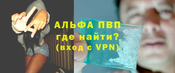 таблы Богданович