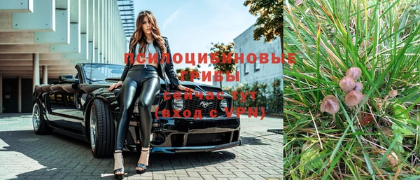 таблы Богданович